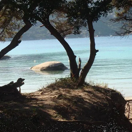 Climatisee Avec Terrasse A 200m De La - Porto-vecchio - Fr-1-62-159 * 포르토베쉬오
